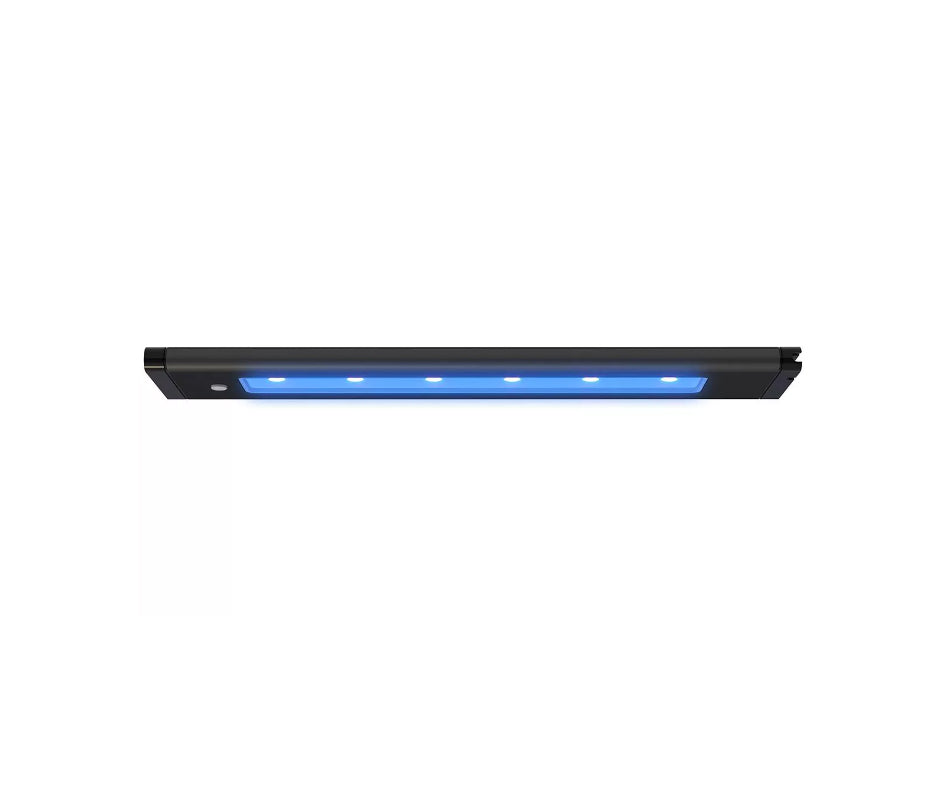 Reef Chasers | Online Saltwater Store | Buy Aquarium Lights for