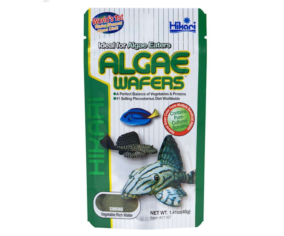 Hikari Algae Wafers