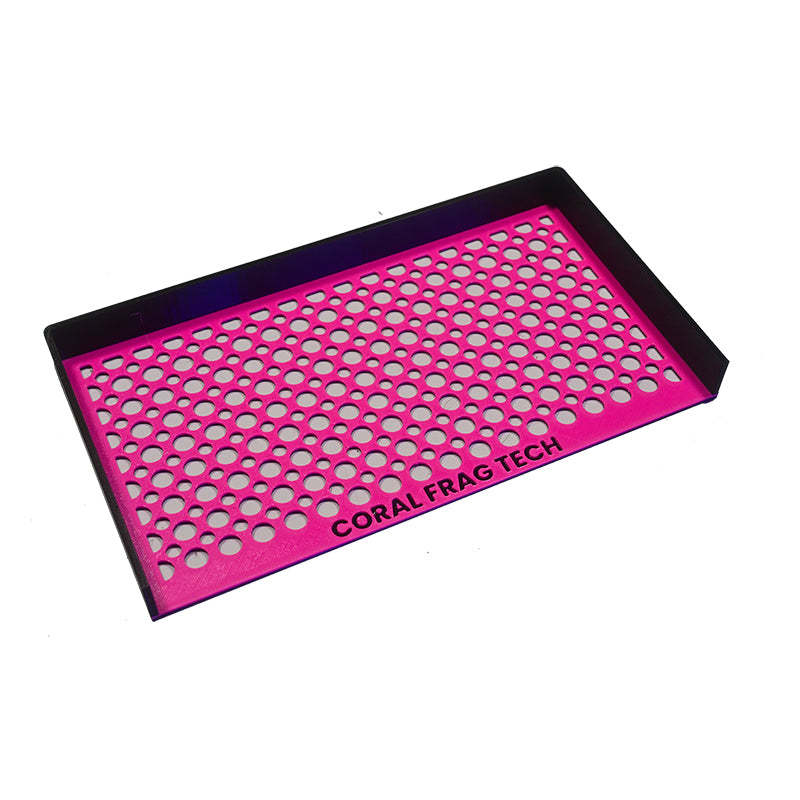 The Nem Nest X (Customizable Anemone Box)