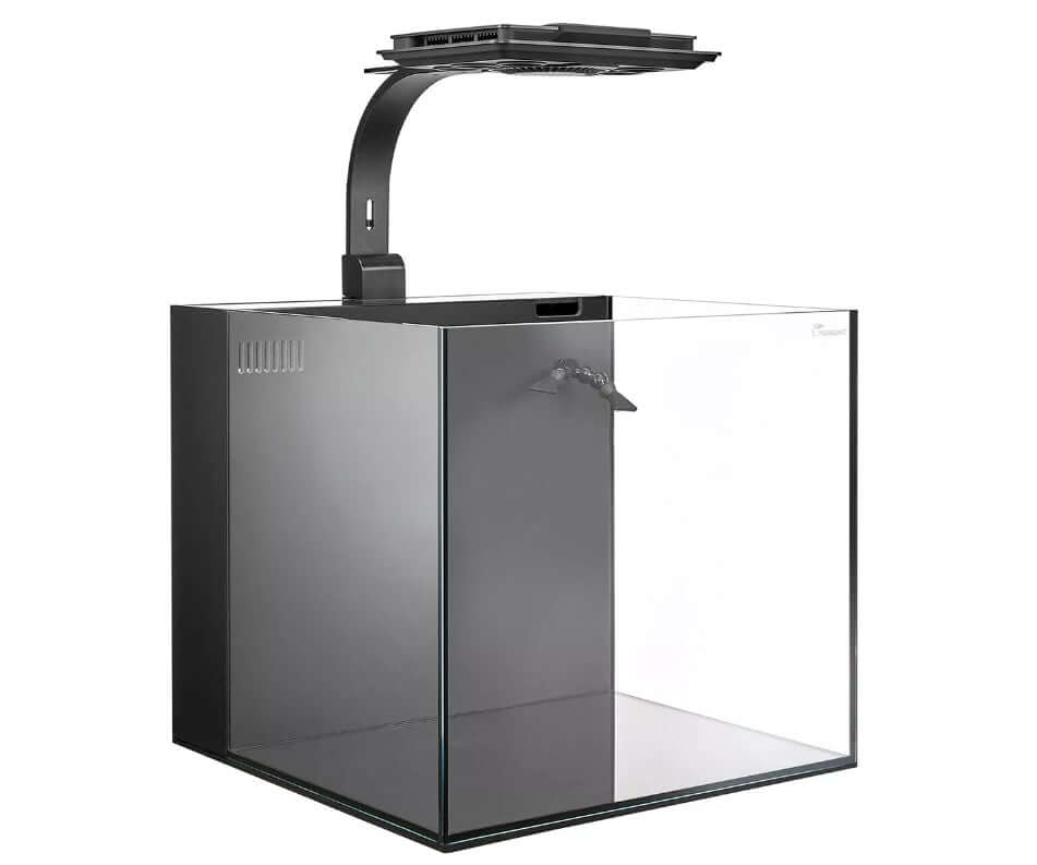DICE AIO 12 Gallon Rimless w/ Blue MJ-L165 LED
