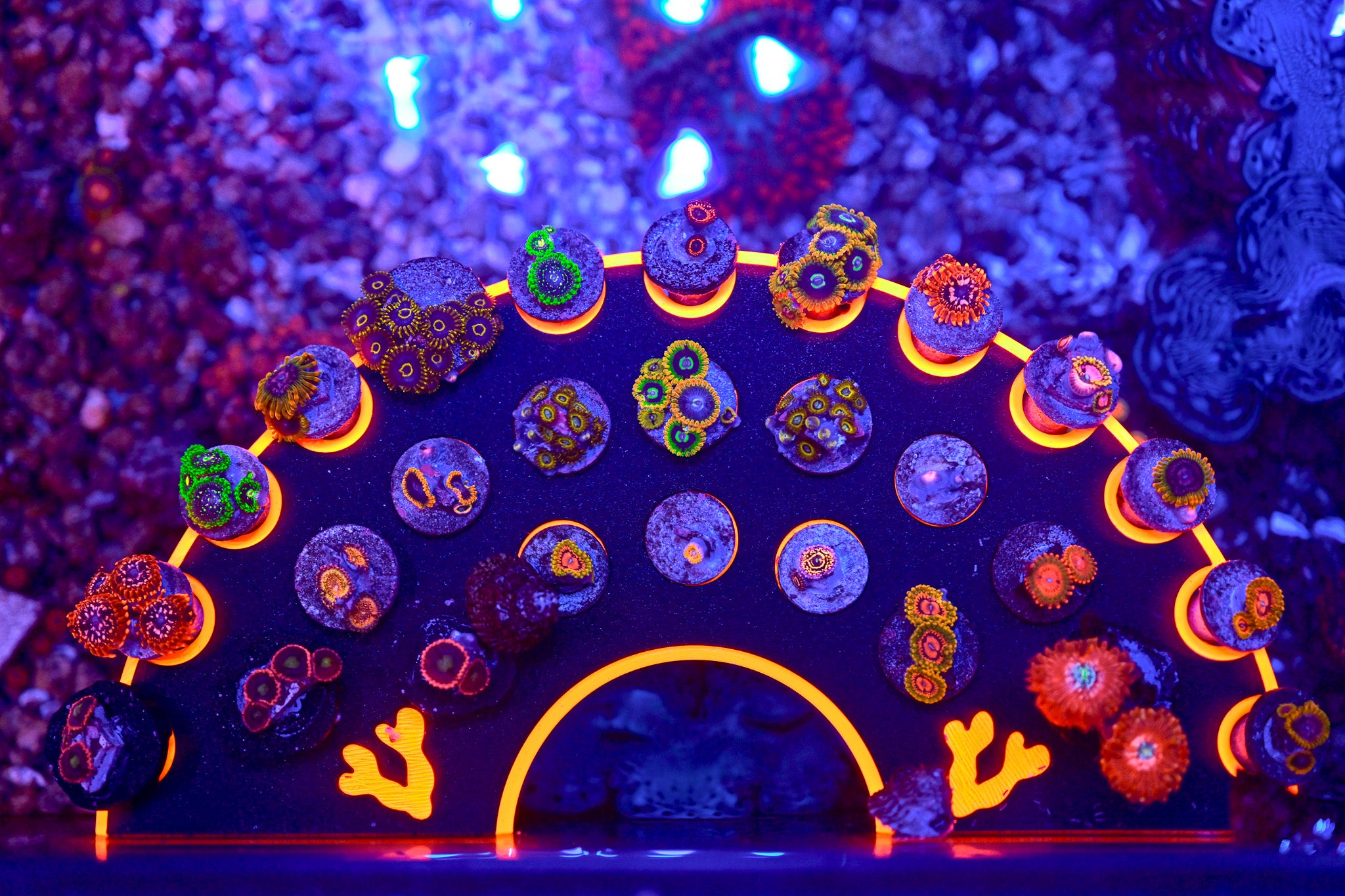Dual Magnet XL Ninja Frag Rack