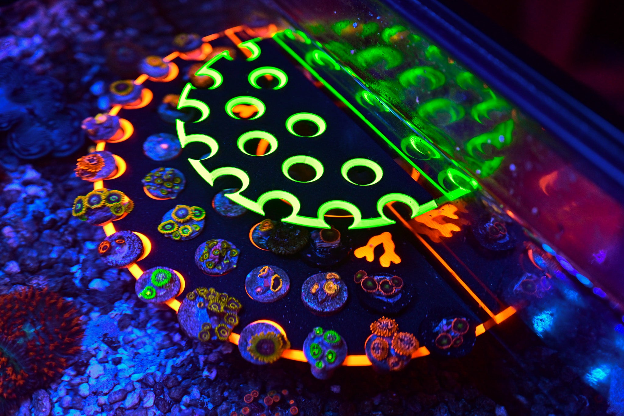 Dual Magnet XL Ninja Frag Rack