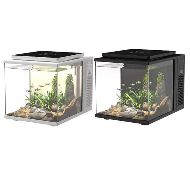 Dice Series Pico Cube (2 Gal)