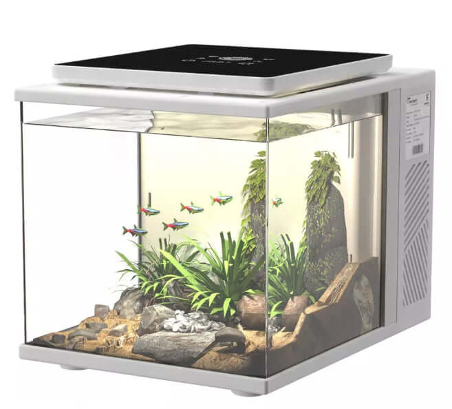 Dice Series Pico Cube (2 Gal)