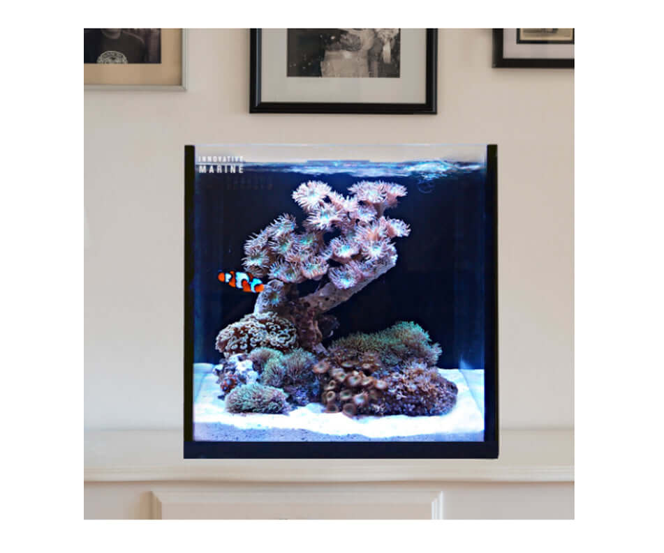 Innovative Marine 15 Gallon Rimless AIO