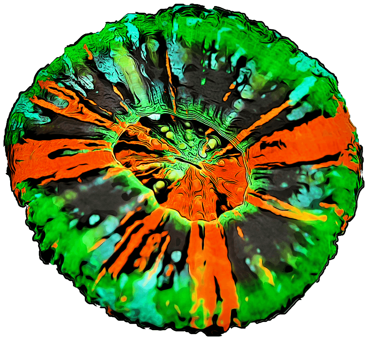 Master Scolymia Sticker