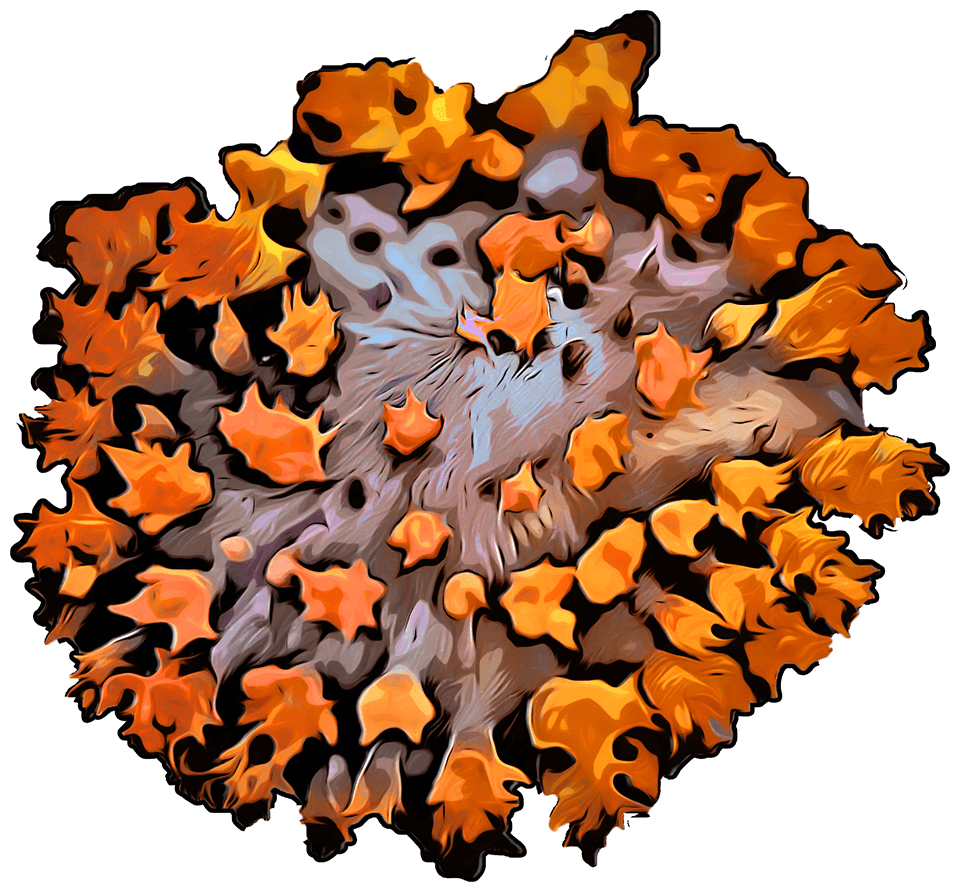 St. Thomas Mushroom Sticker