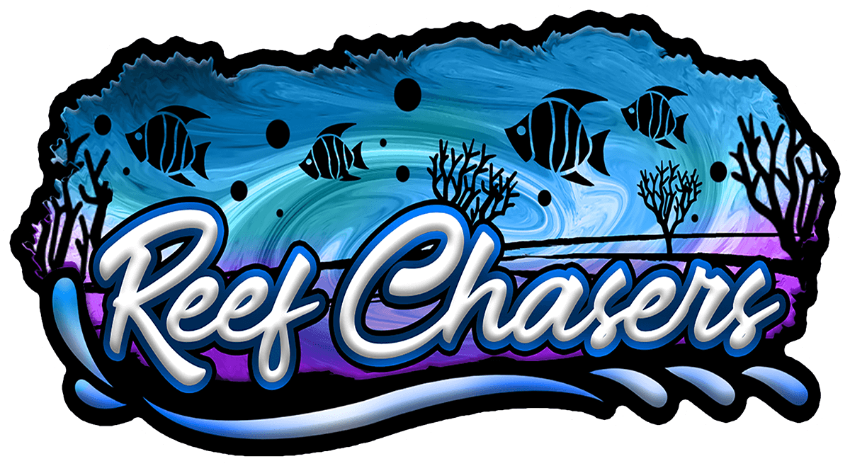 Reef Chasers Starry Logo Sticker