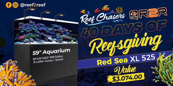 RedSea XL 525 Give Away Contest @ Reef2Reef - Reef Chasers