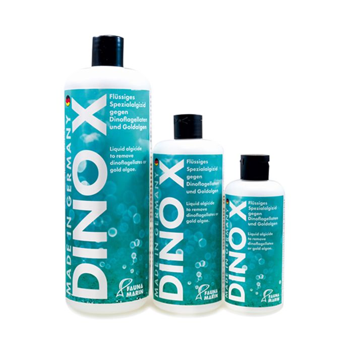 DINO-X - Reef Chasers