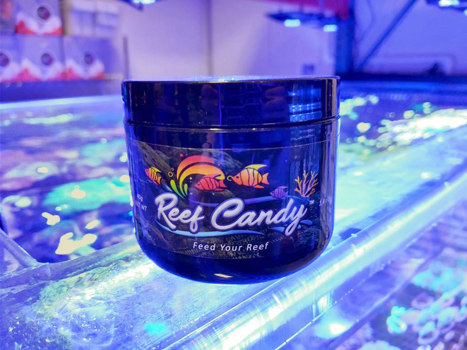 Reef Candy - Reef Chasers
