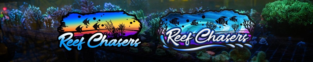 Reef Chasers Gear - Reef Chasers