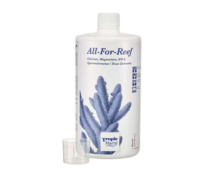 Curated visual reference: All For Reef Liquid Dosing Photo Inspiration