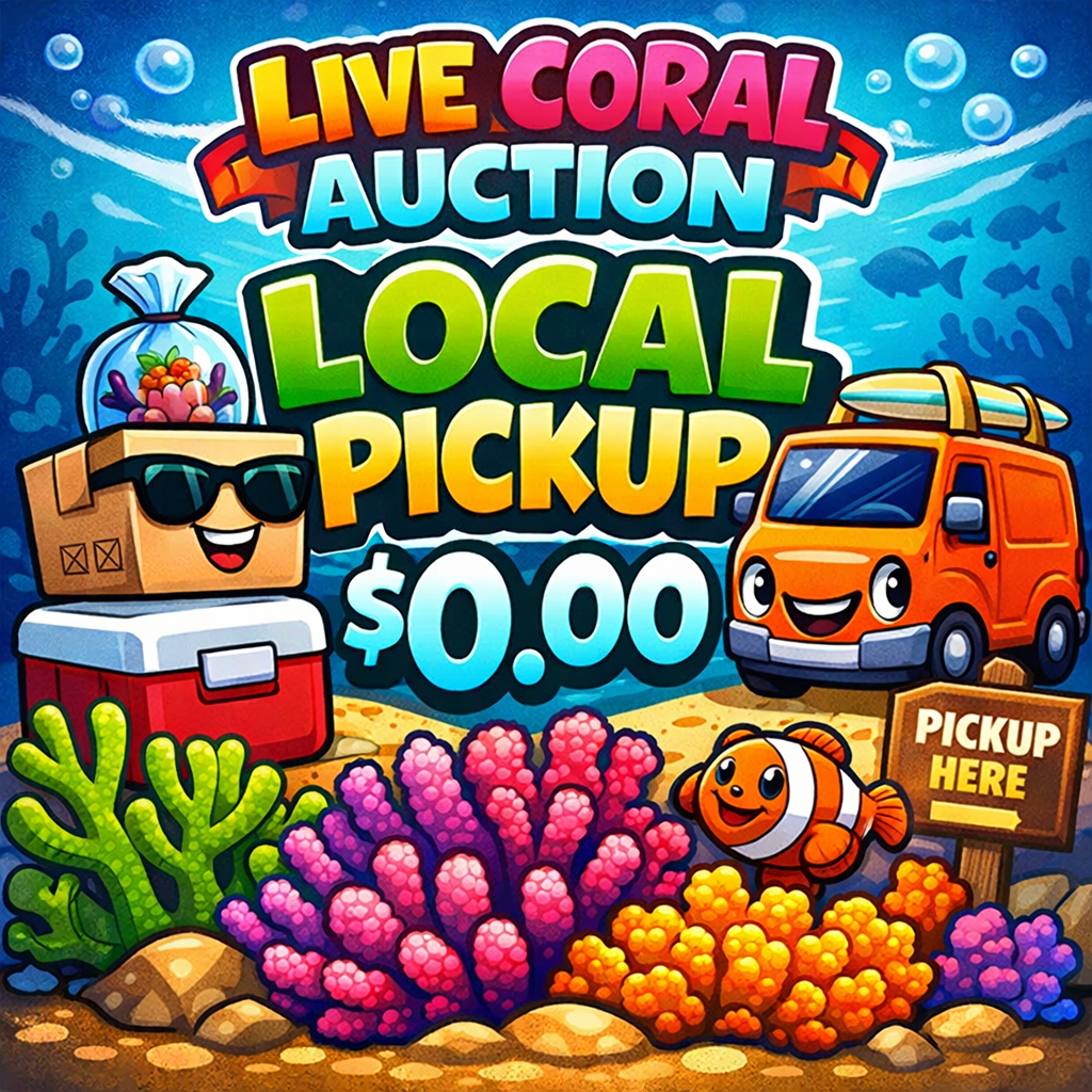 Live Auction Local Pickup