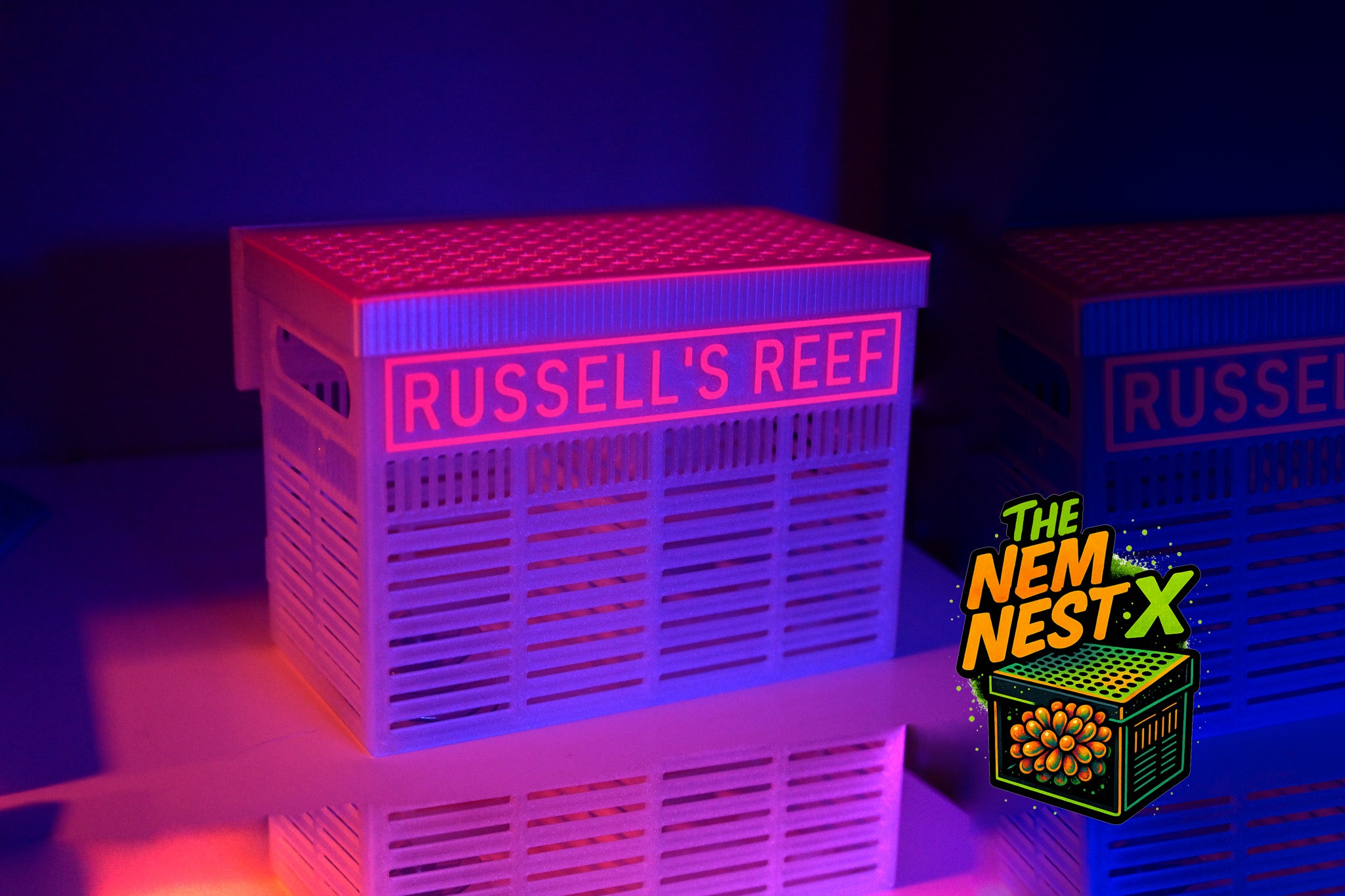 Coral Frag Tech | Nem Nest X™ HOB Anemone Box (Customizable)