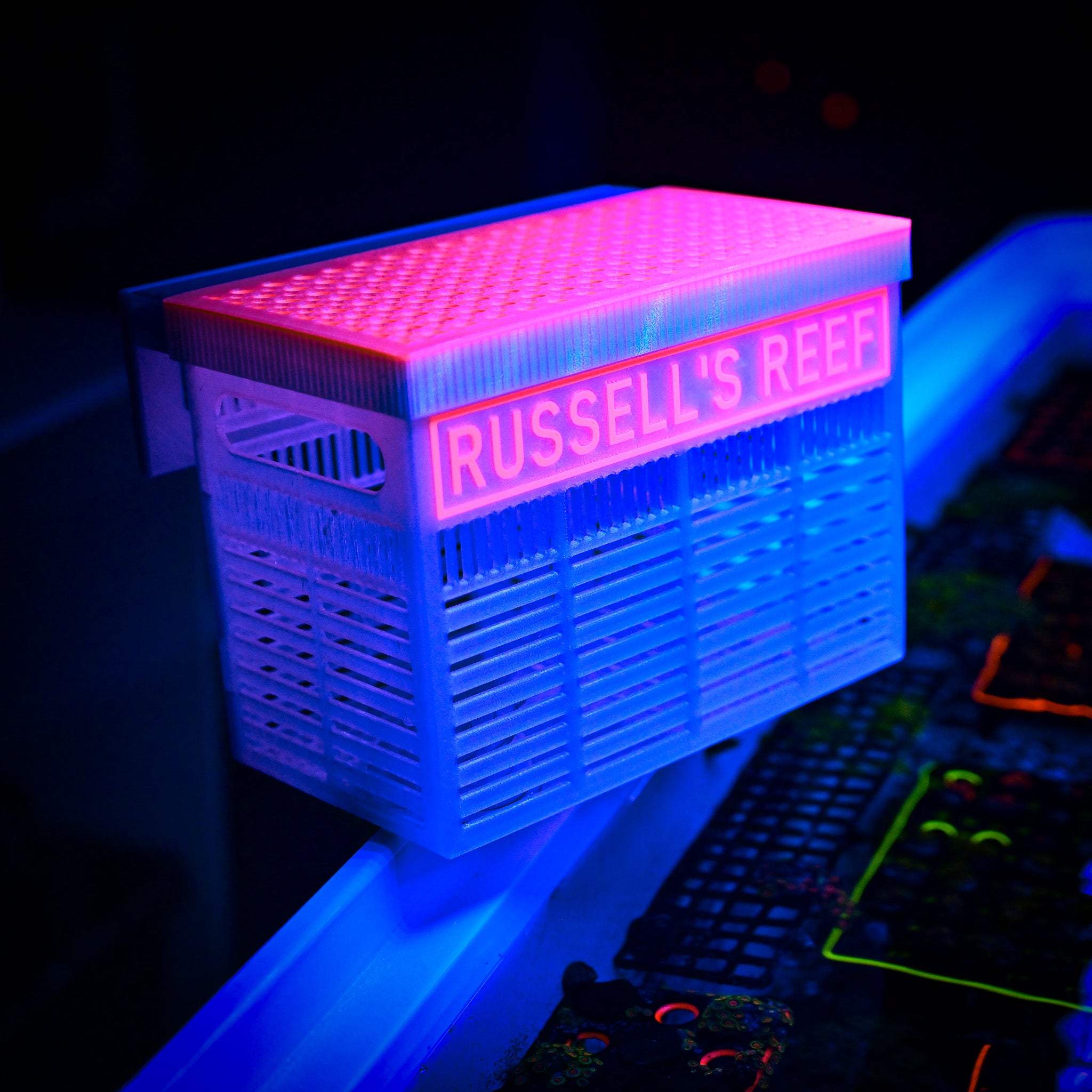 The Nem Nest X (Customizable Anemone Box)