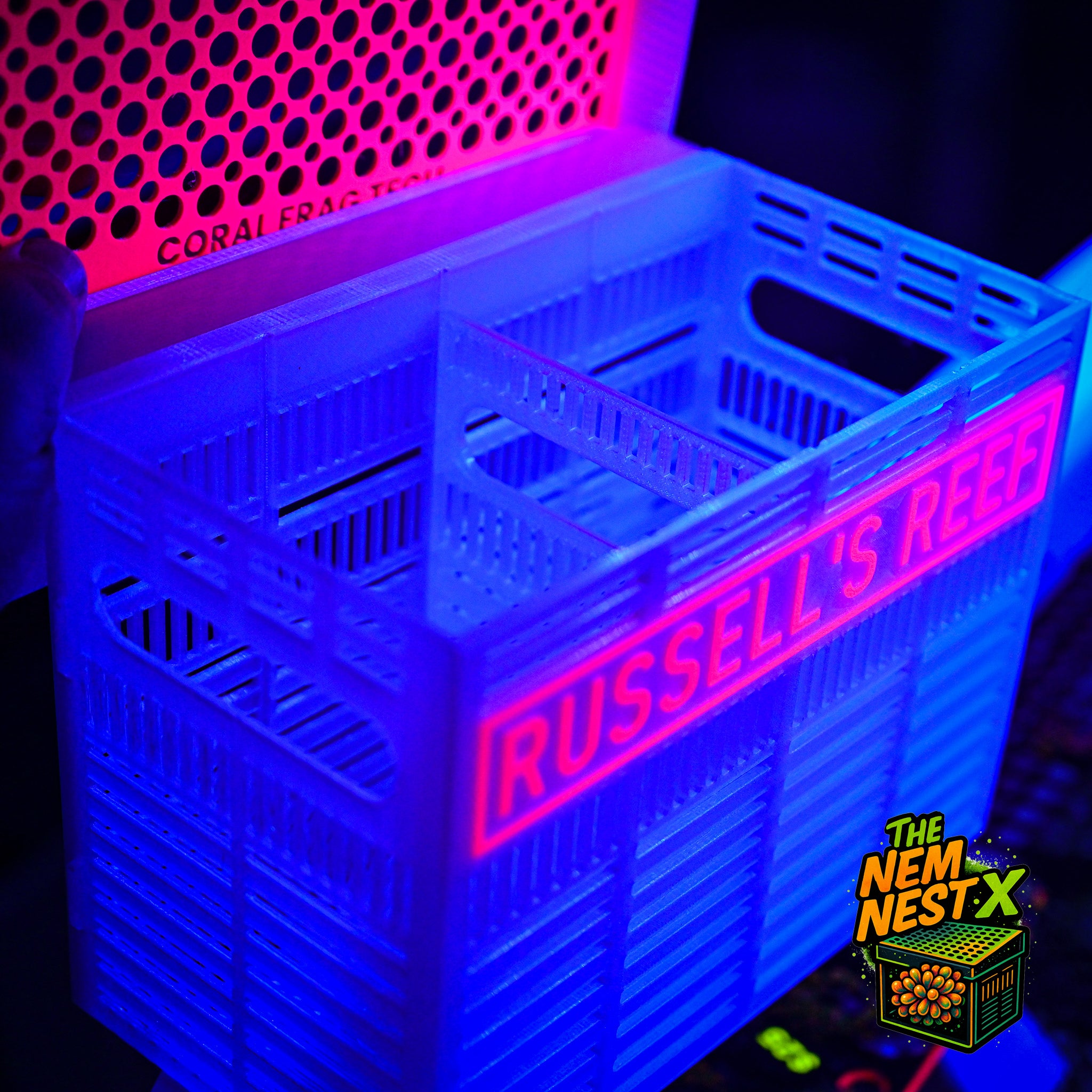 The Nem Nest X (Customizable Anemone Box)