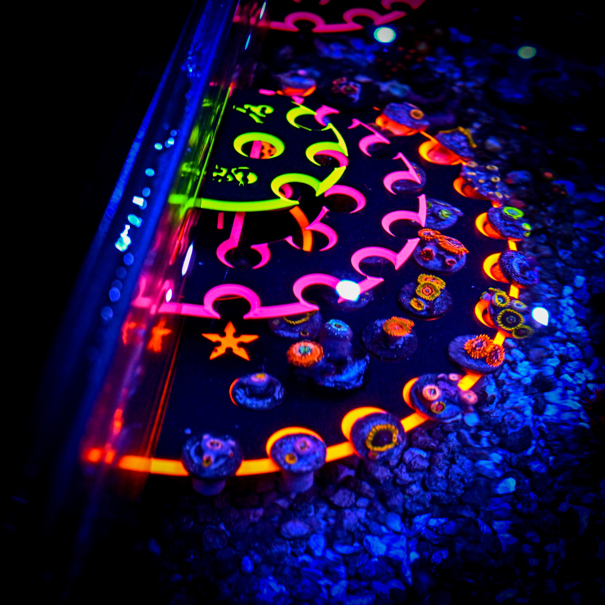 Single Magnet Ninja Frag Rack