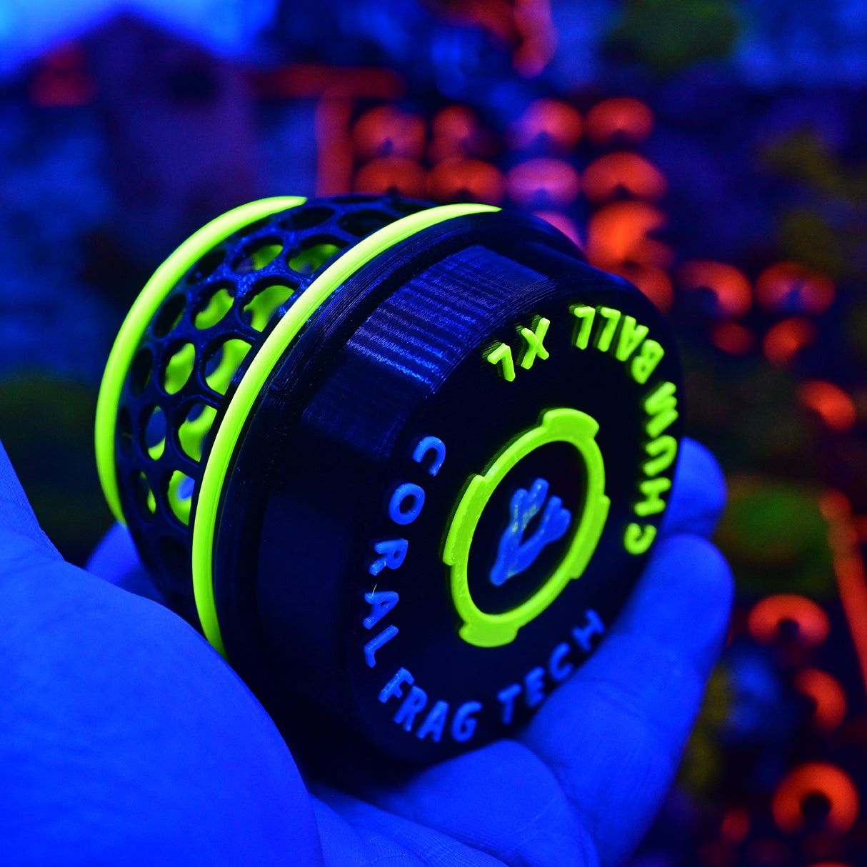 Coral Frag Tech | The Chum Ball Nori/Frozen Cube Fish Feeder