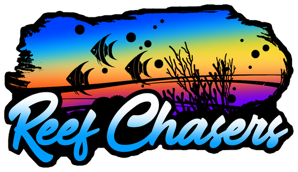 Reef Chasers Retro Logo Sticker