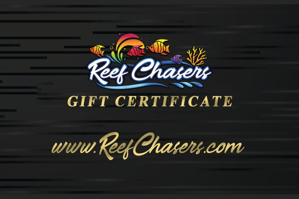 Gift Certificates - Reef Chasers